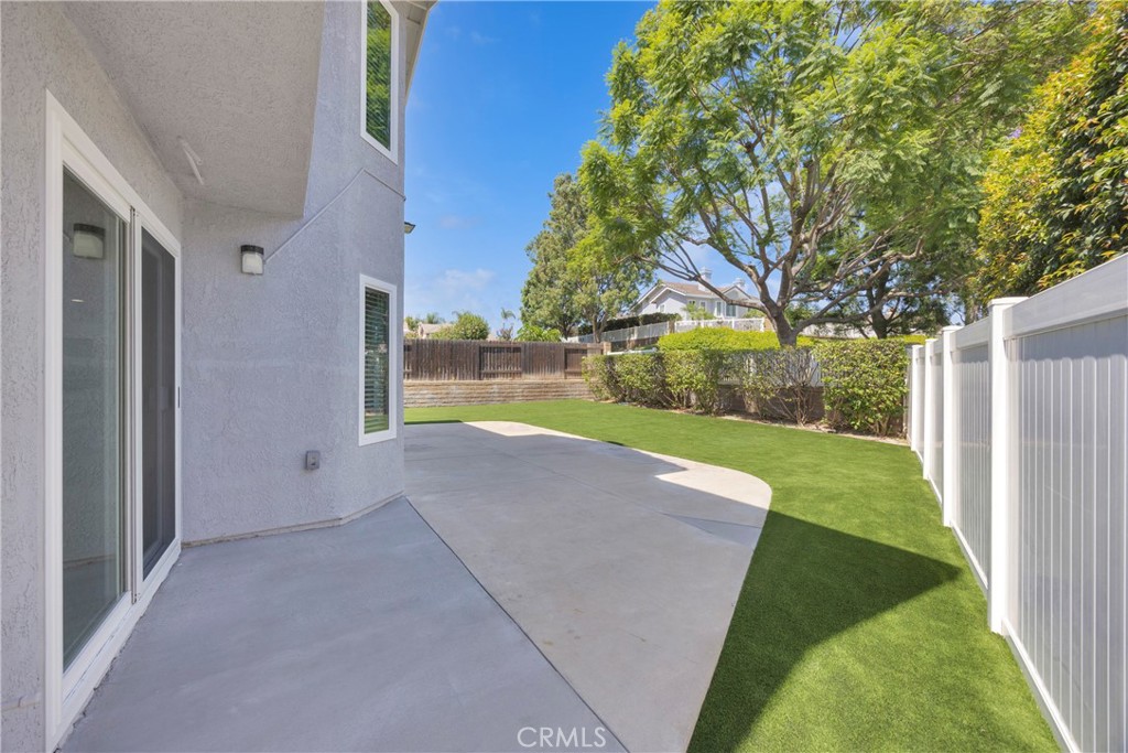 5700 Scotch Pine