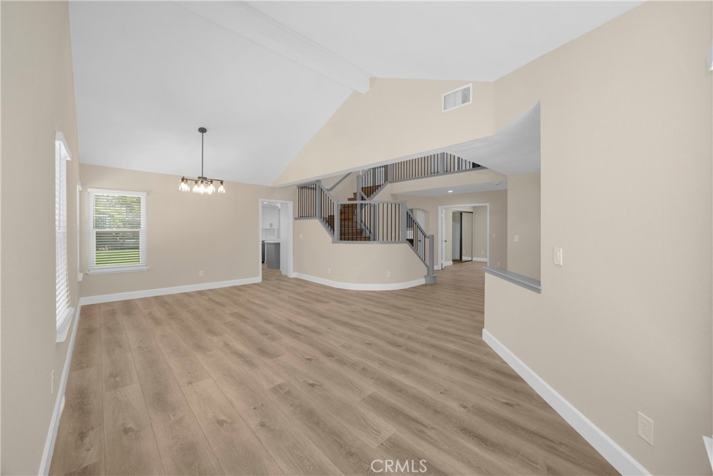 5700 Scotch Pine
