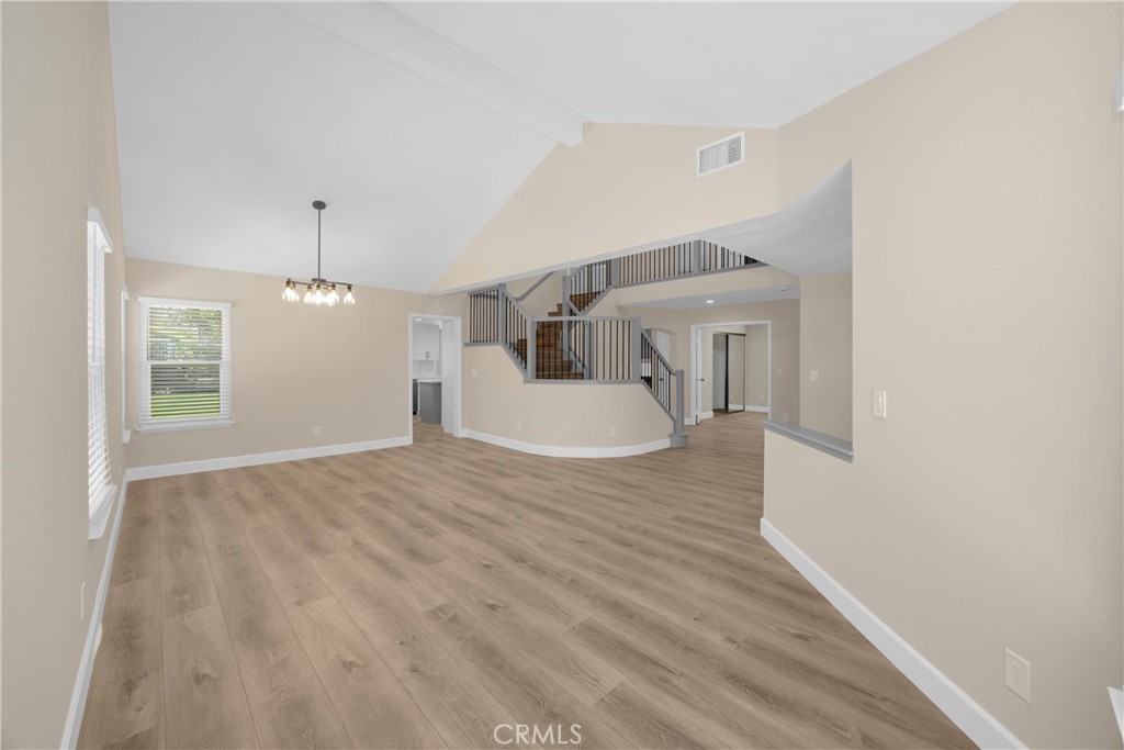 5700 Scotch Pine