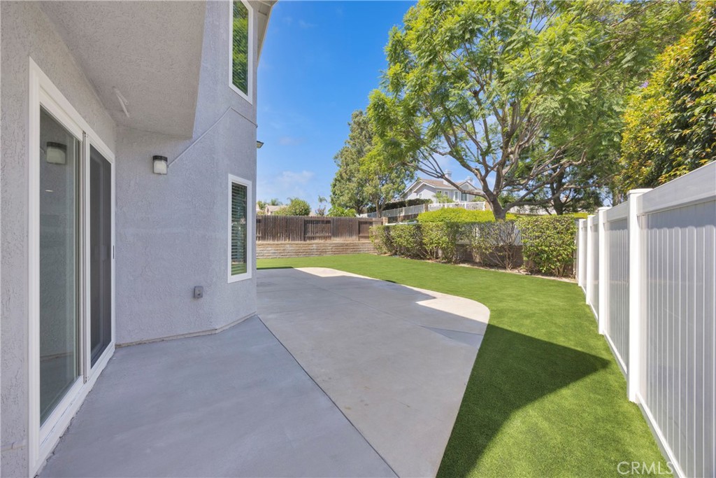 5700 Scotch Pine