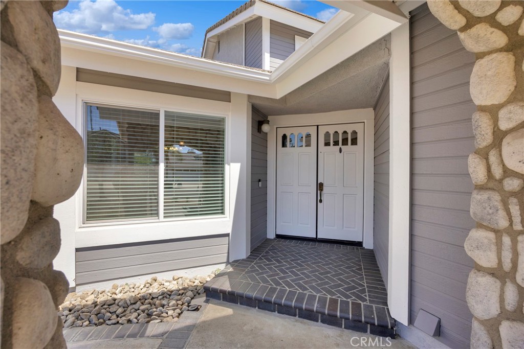 5700 Scotch Pine