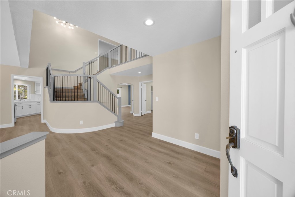 5700 Scotch Pine
