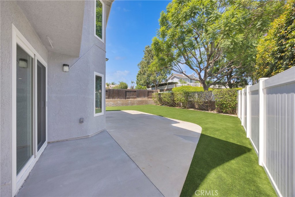 5700 Scotch Pine