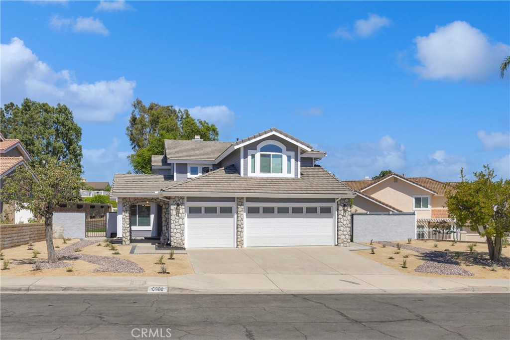 5700 Scotch Pine