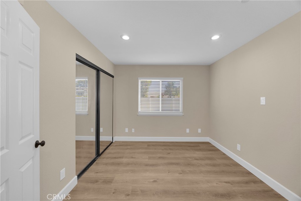 5700 Scotch Pine