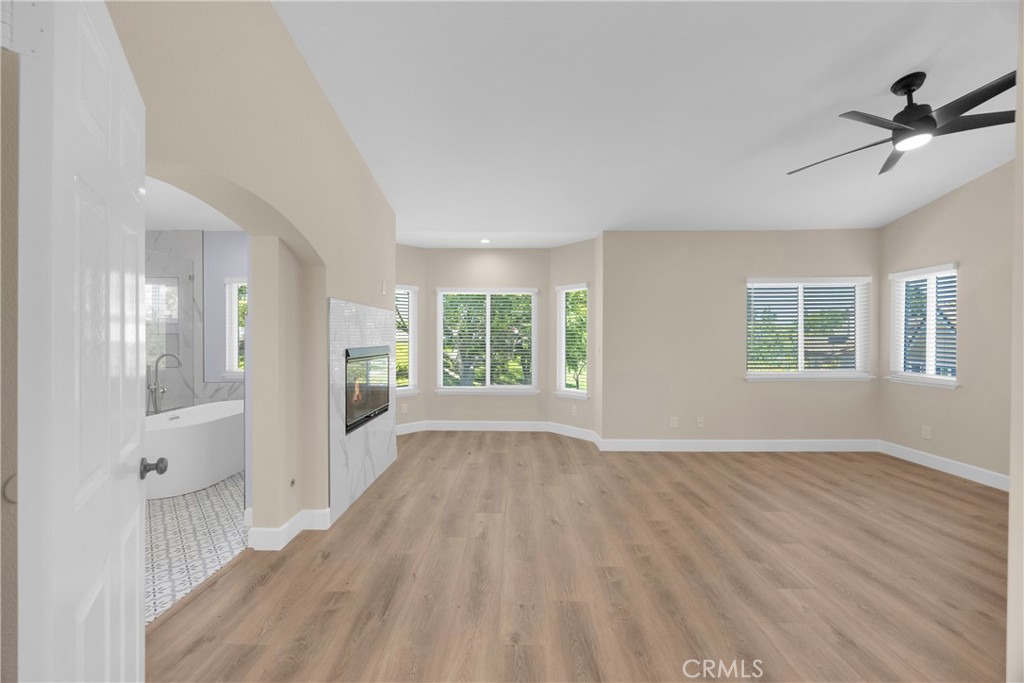 5700 Scotch Pine