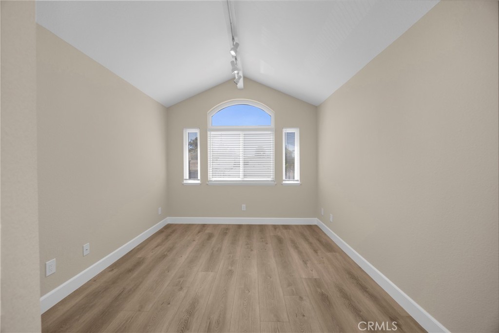 5700 Scotch Pine