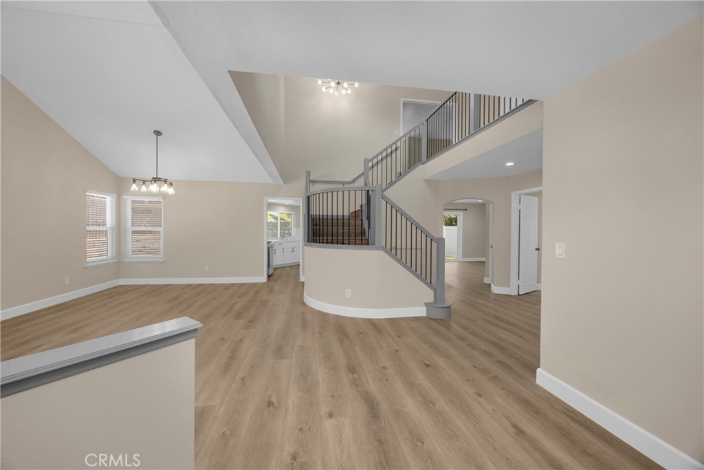 5700 Scotch Pine
