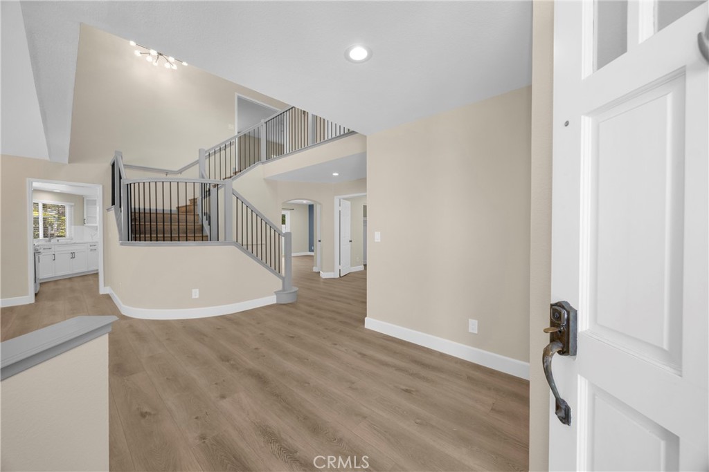 5700 Scotch Pine
