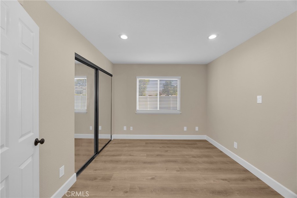 5700 Scotch Pine