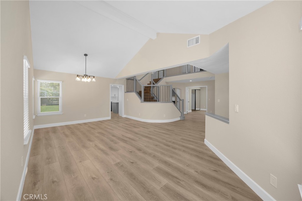 5700 Scotch Pine