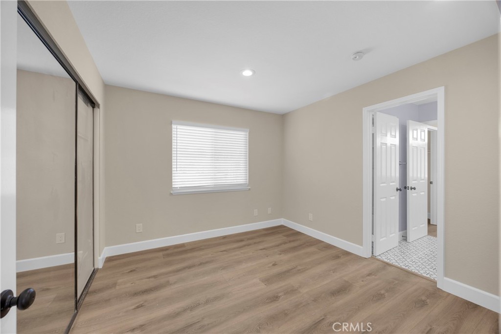 5700 Scotch Pine