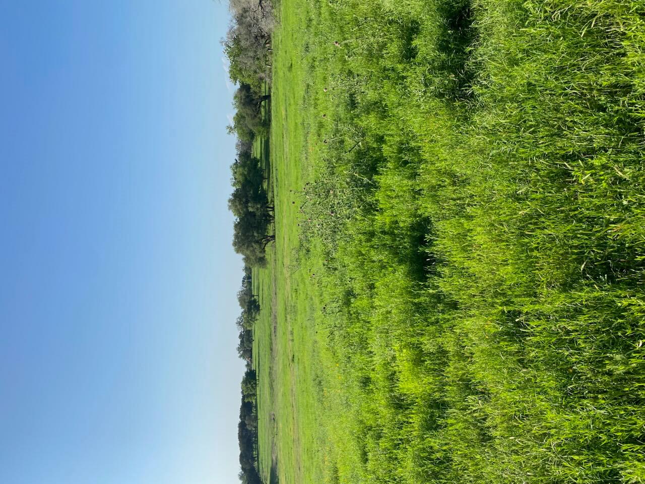 2029 County Road 200