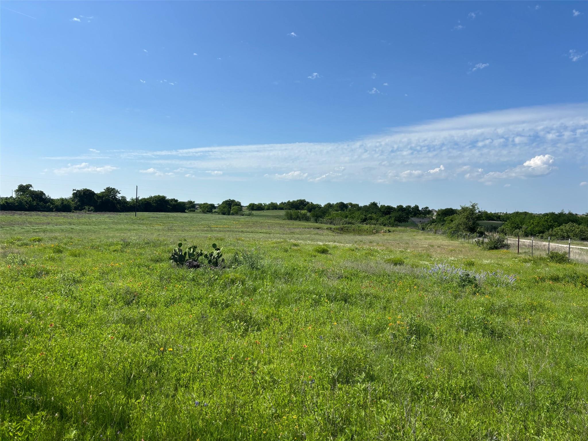 Lot 16 Titus LN