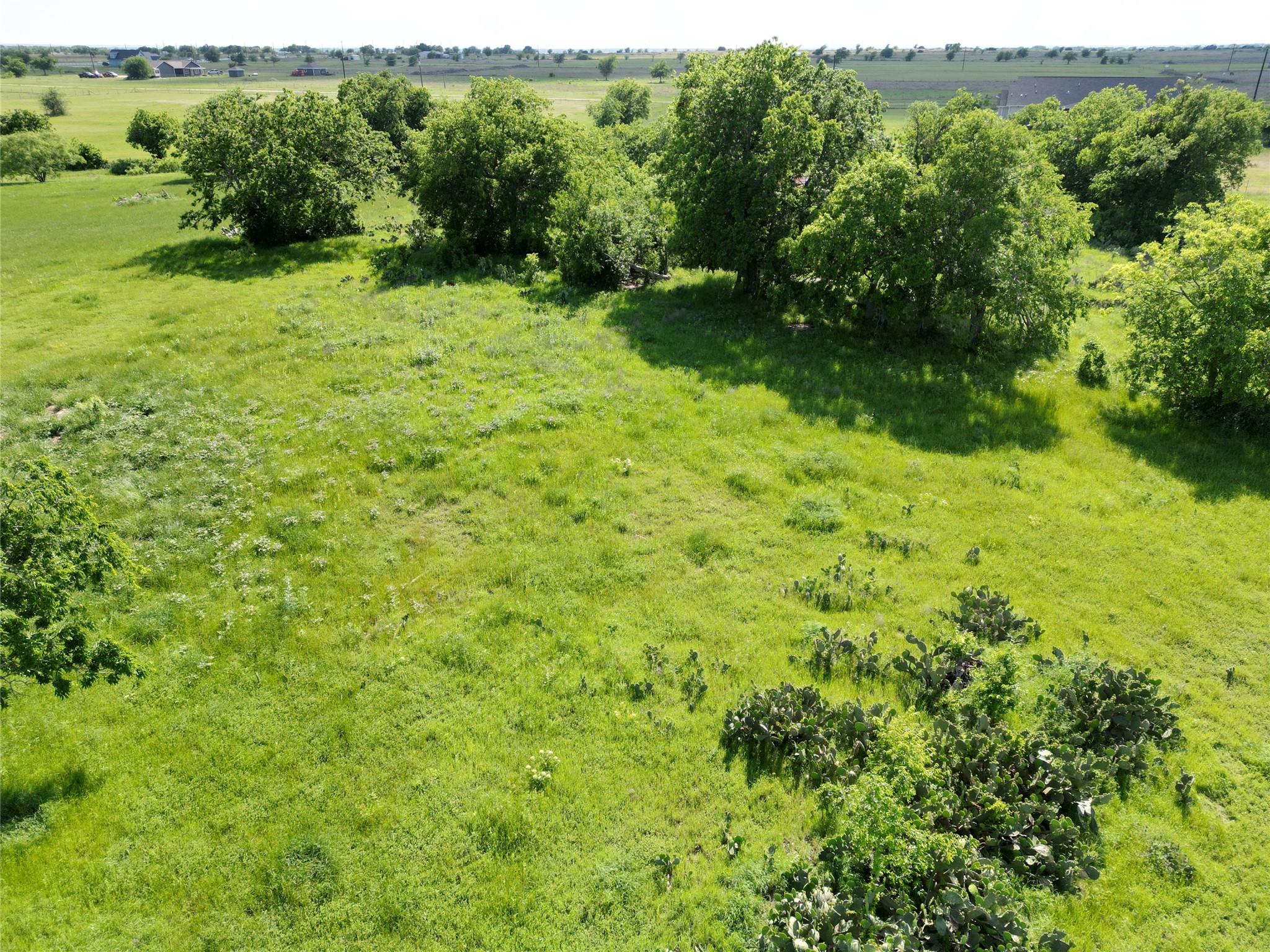 Lot 16 Titus LN