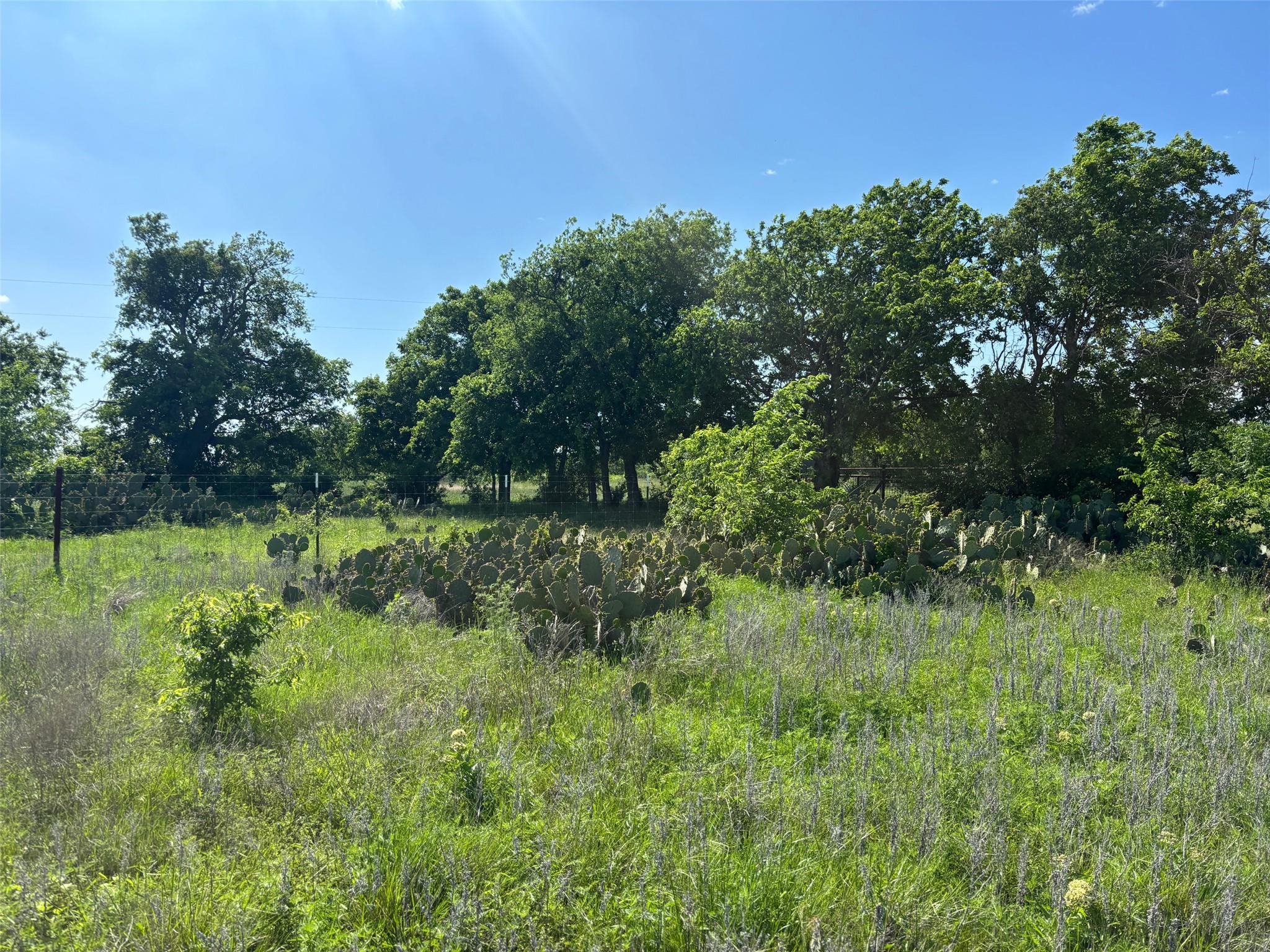 Lot 16 Titus LN