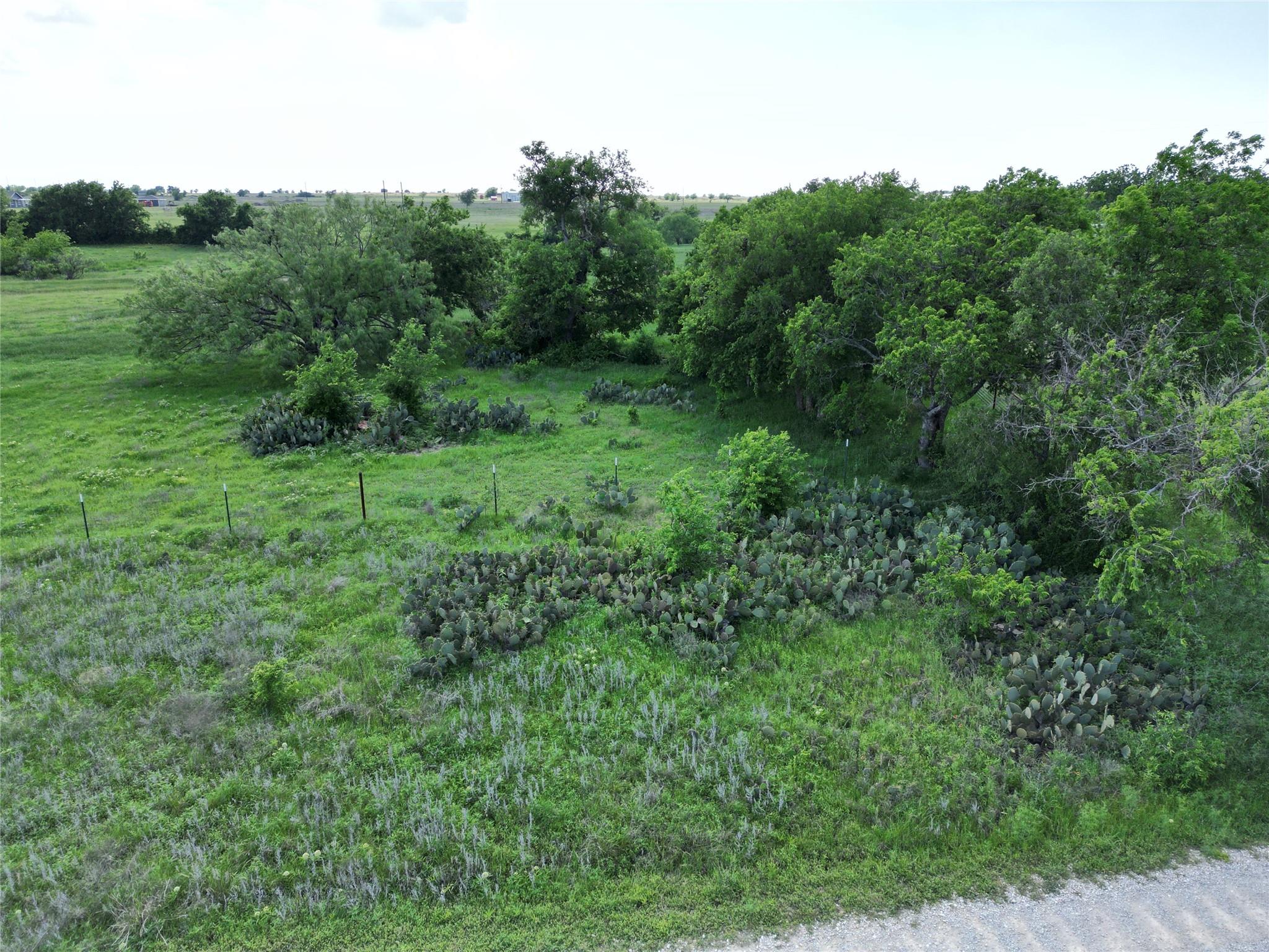 Lot 5 Titus LN