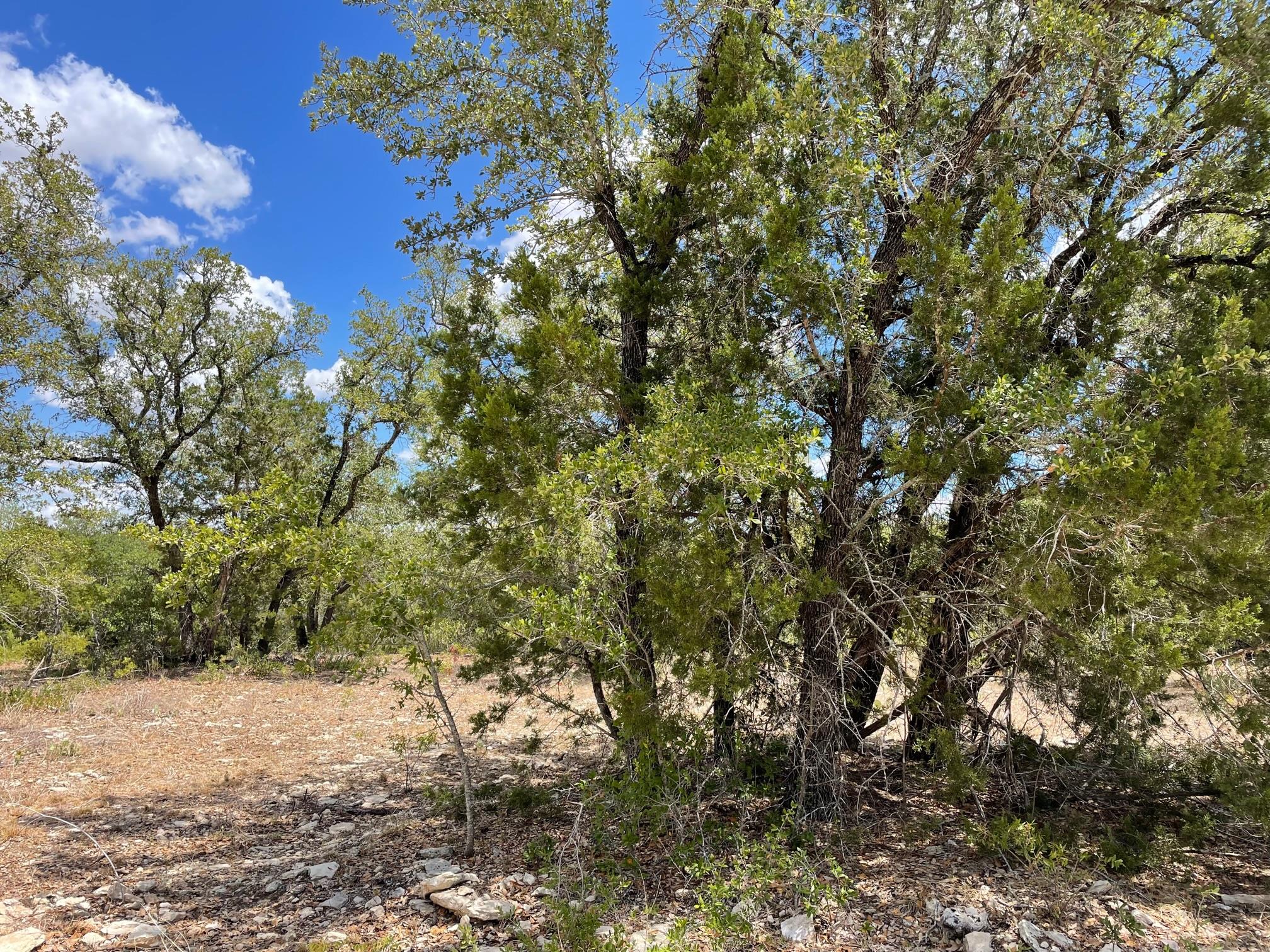 TBD HWY 183 TBD HWY 183 Highway