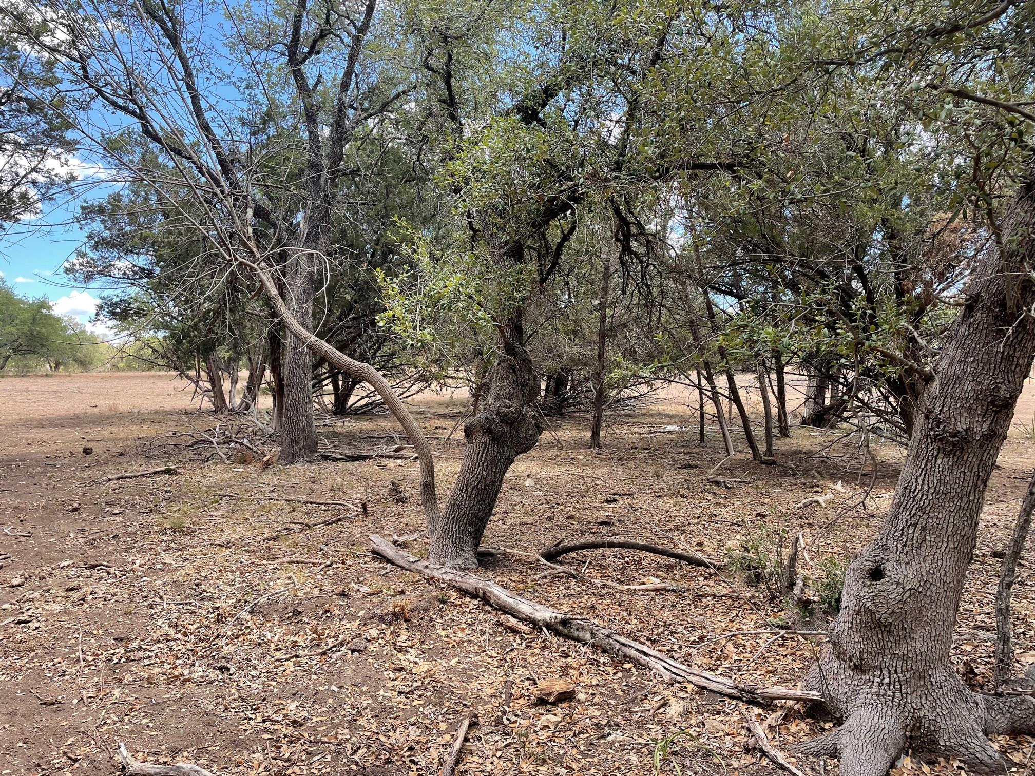 TBD HWY 183 TBD HWY 183 Highway