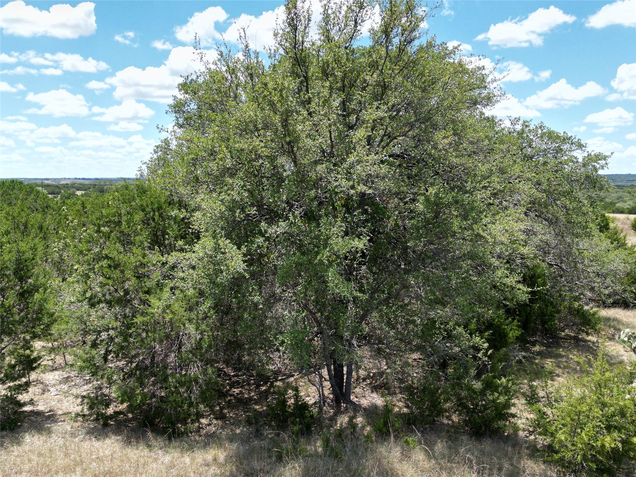 TBD HWY 183 TBD HWY 183 Highway