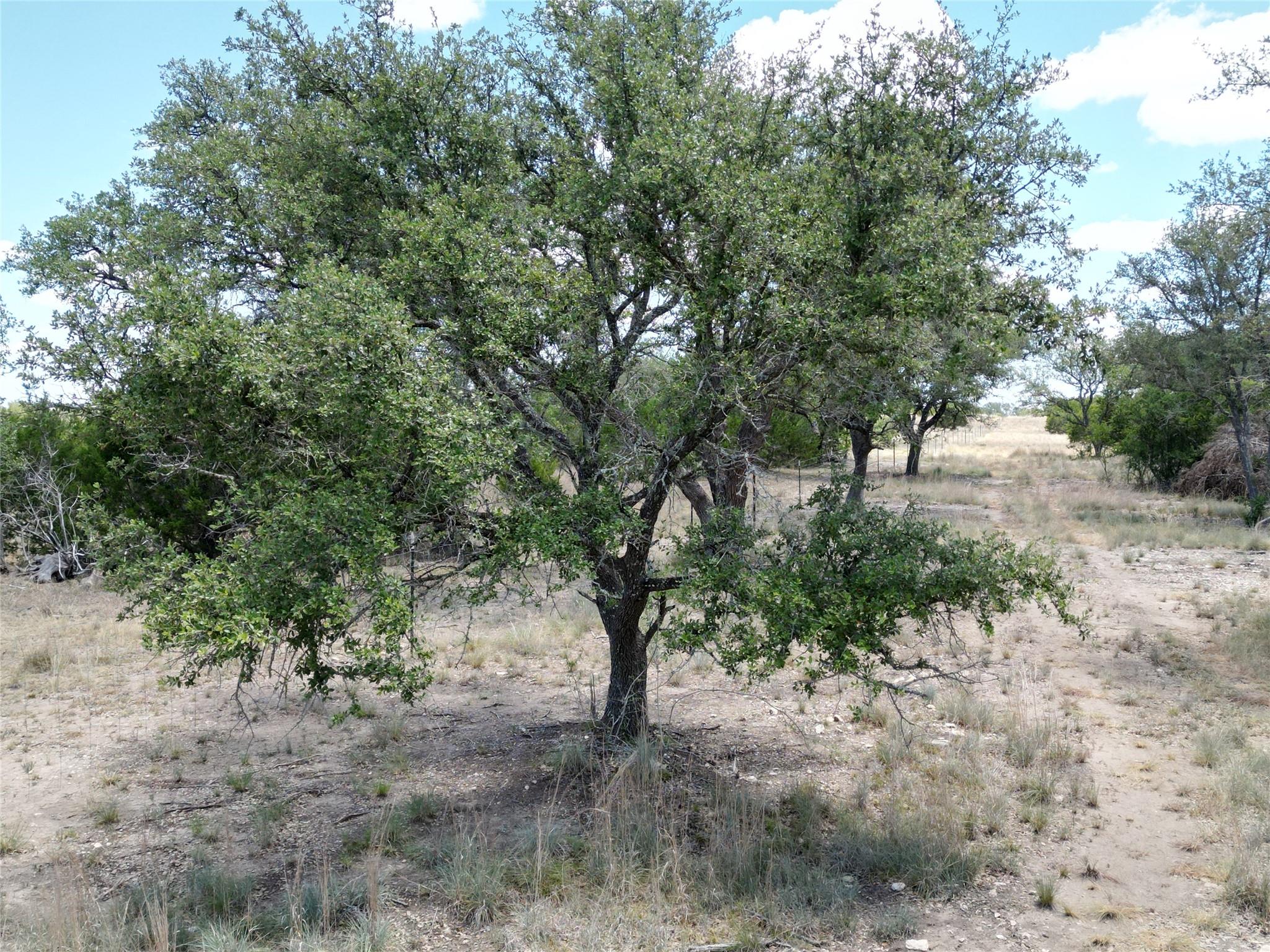 TBD HWY 183 TBD HWY 183 Highway