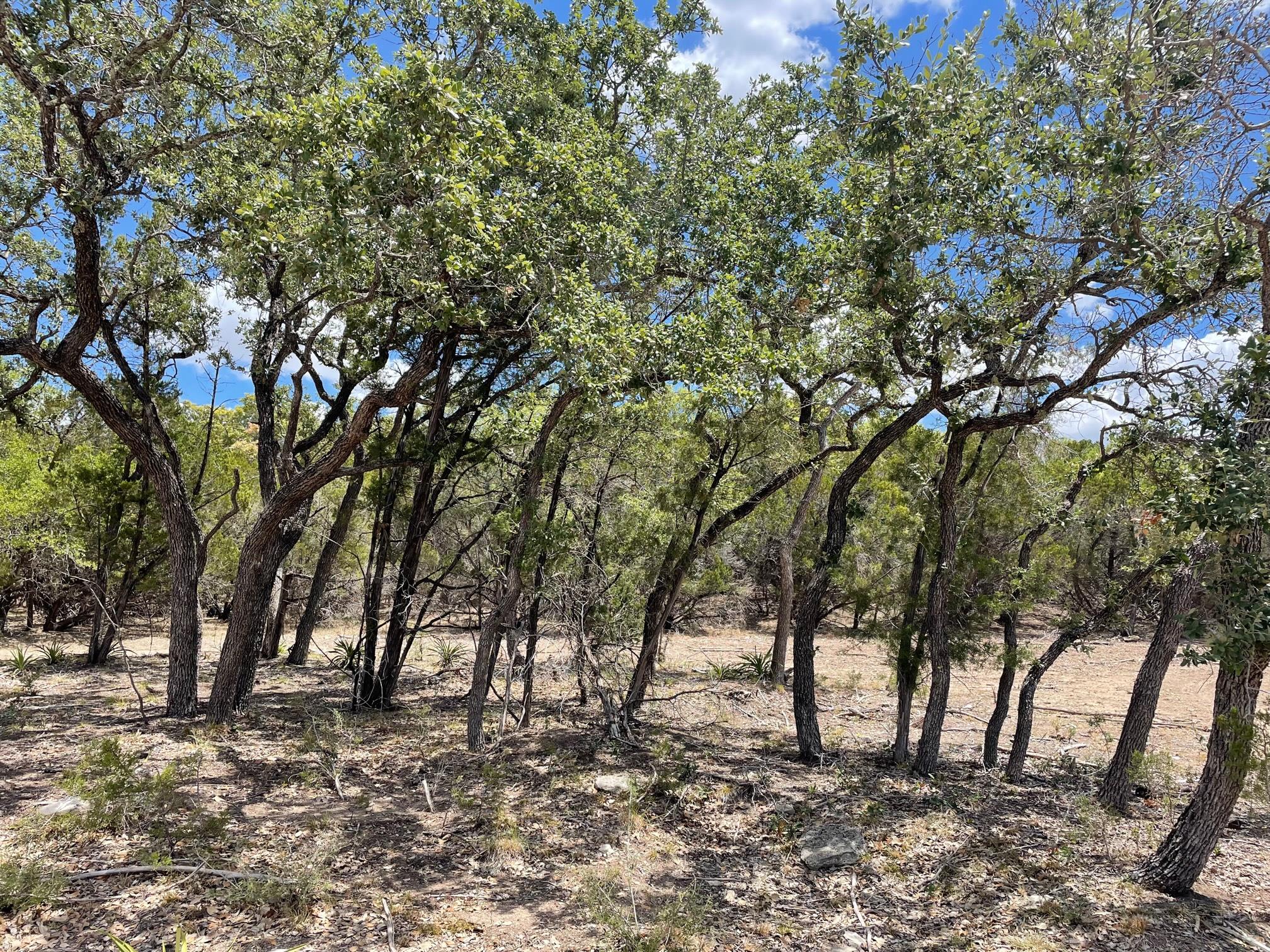 TBD HWY 183 TBD HWY 183 Highway