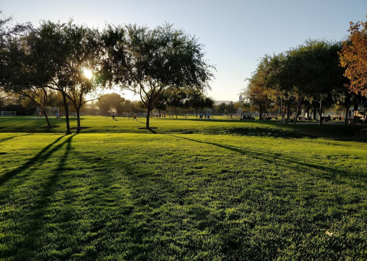 3928 Scottfield Street