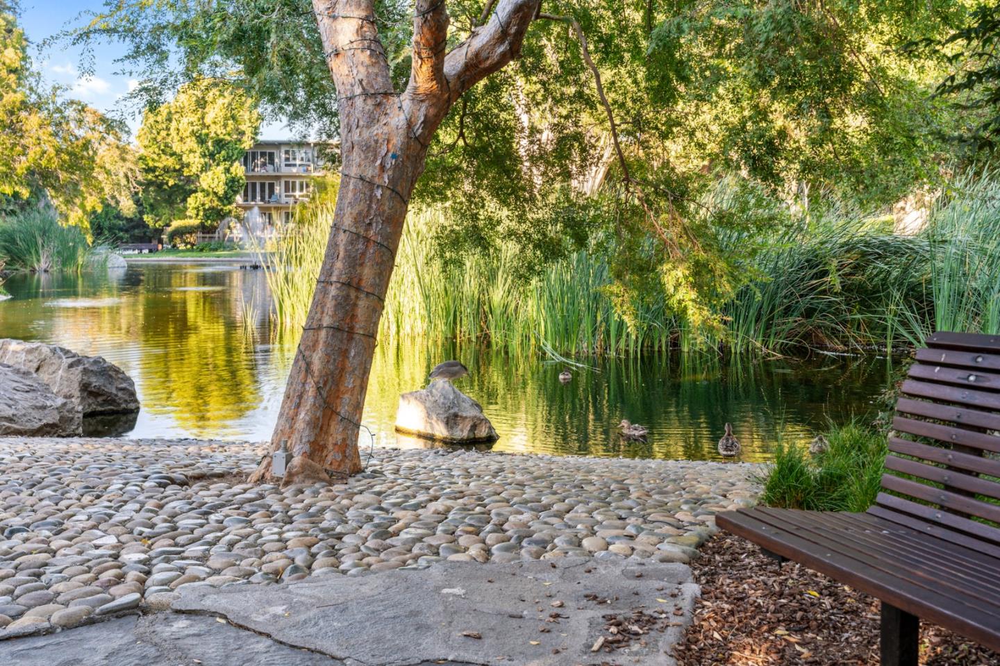 814 N Delaware ST 416