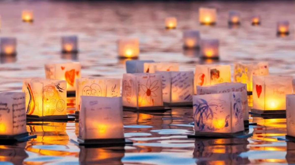 860 Meridian Bay Ln 231