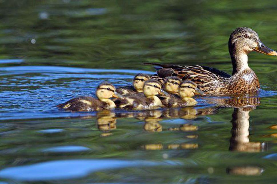 860 Meridian Bay Ln 231