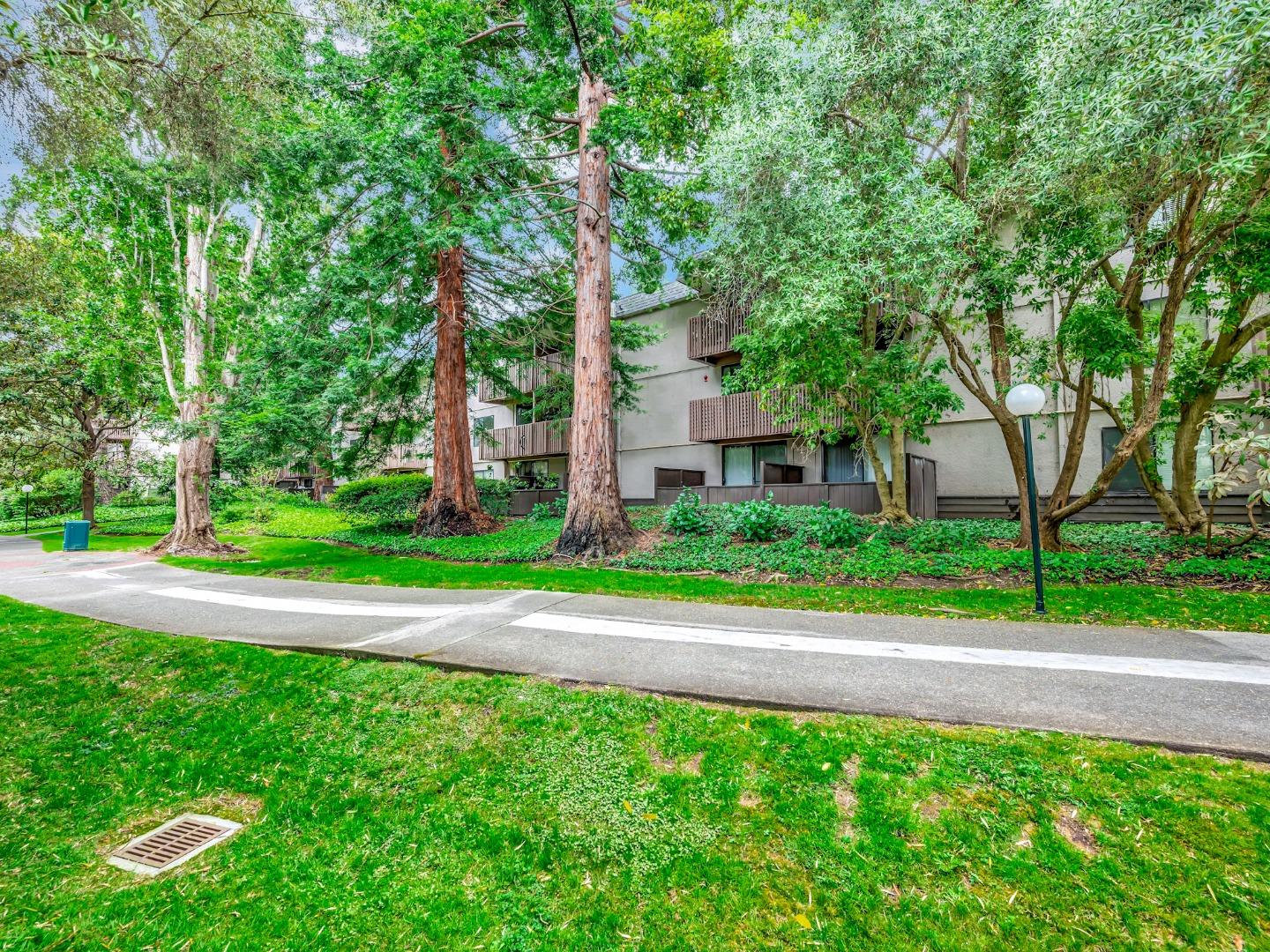 6209 Shelter Creek Ln