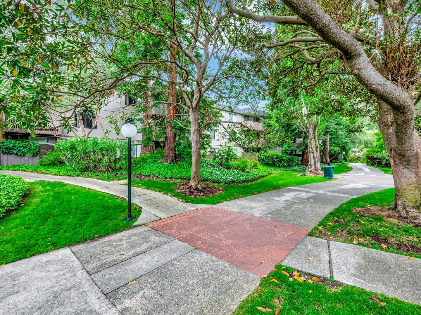 6209 Shelter Creek Ln