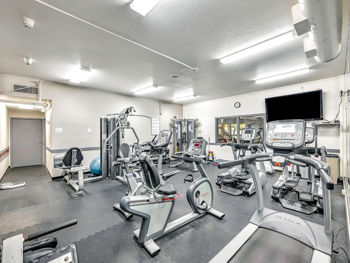 6209 Shelter Creek Ln