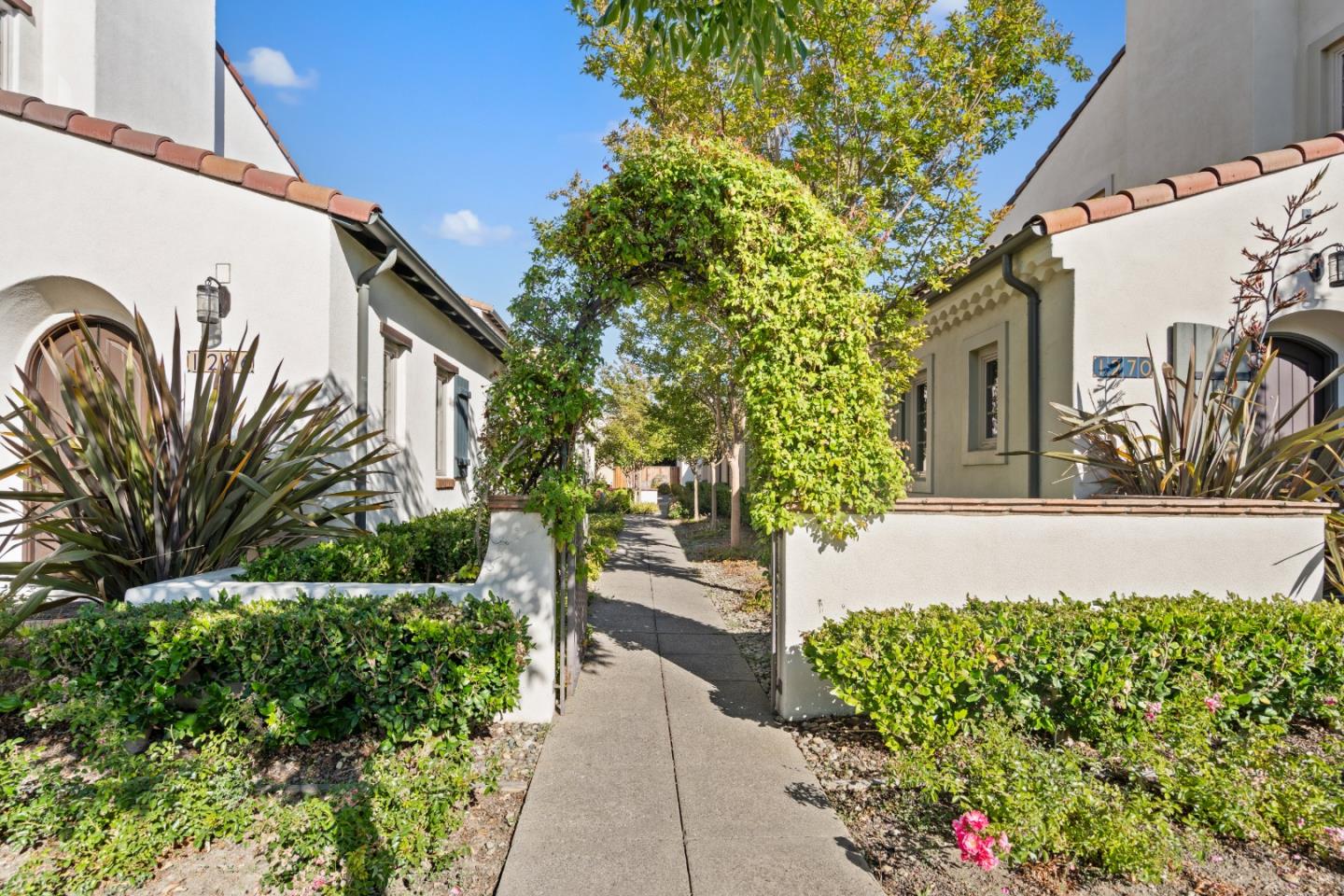 1298 Dahlia Loop