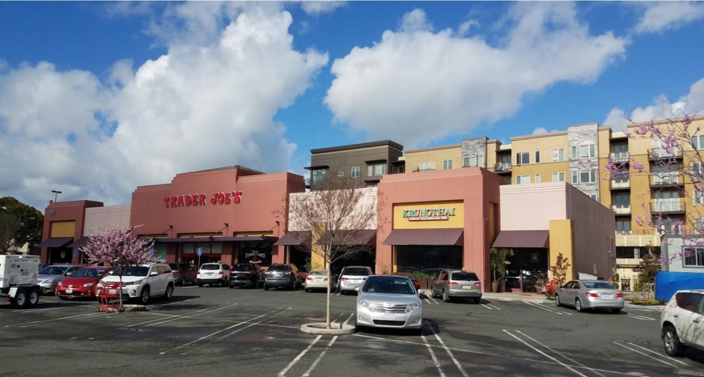 1101 West El Camino Real 219