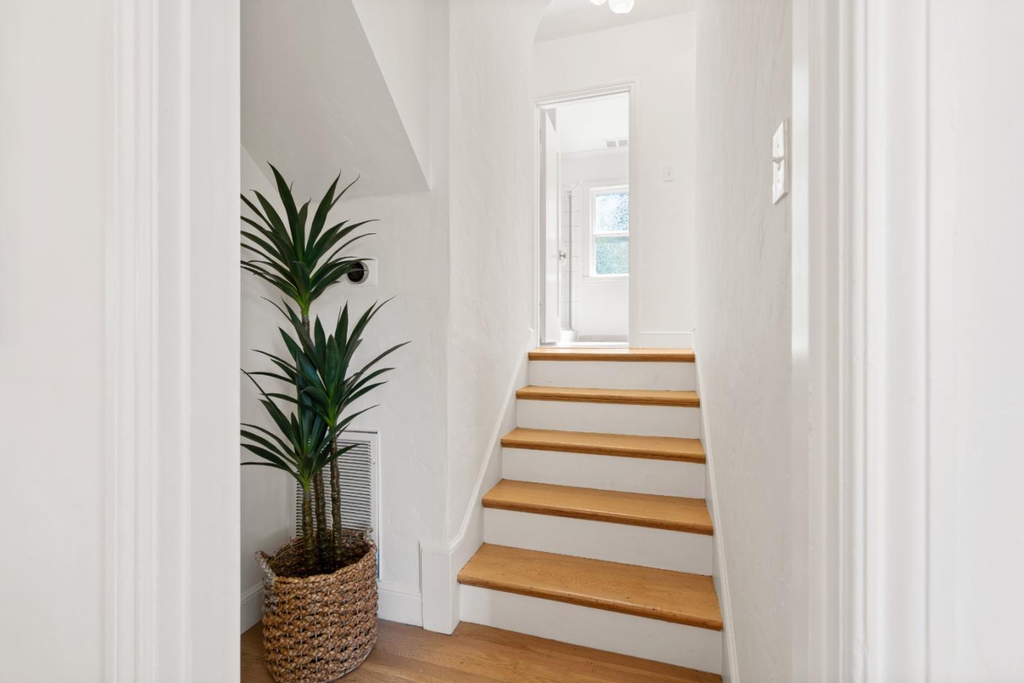 519 Francisco Drive