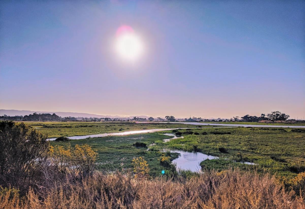 225 West Meadow Drive