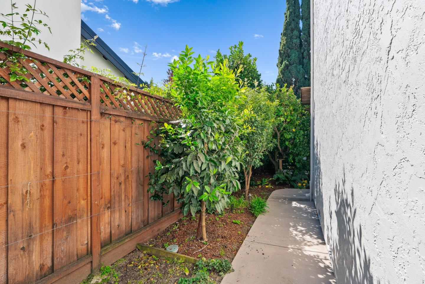 344 West Oakwood Boulevard