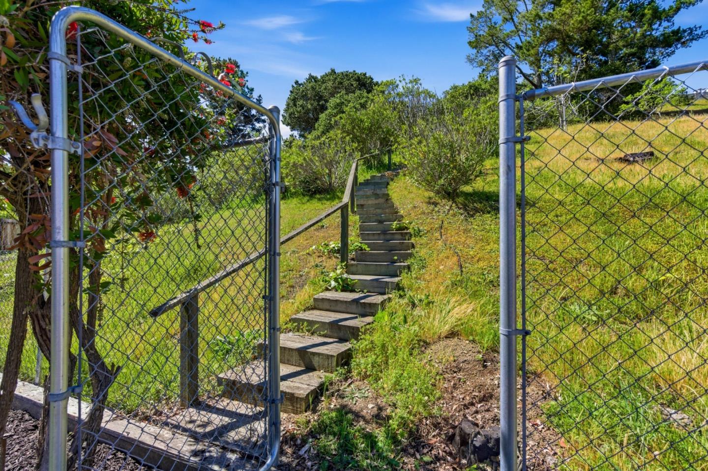 1460 Murchison Drive