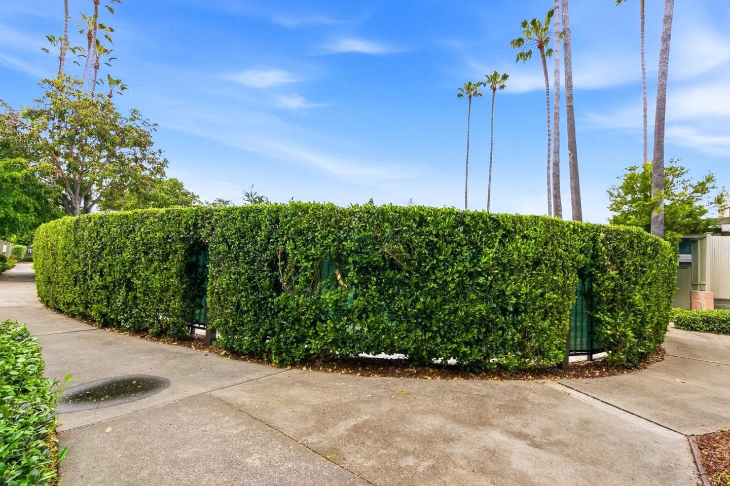 3909 Middlefield Road F