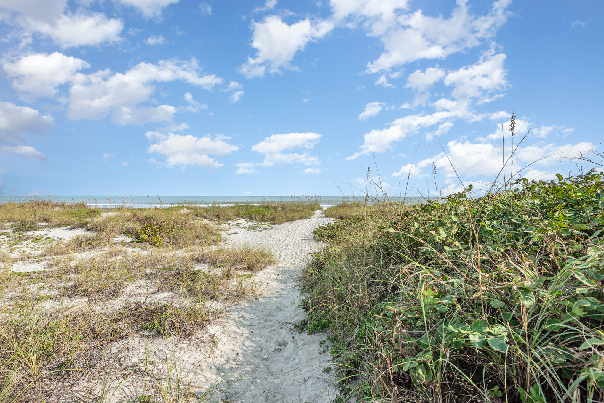 2020 N Atlantic Avenue, 202