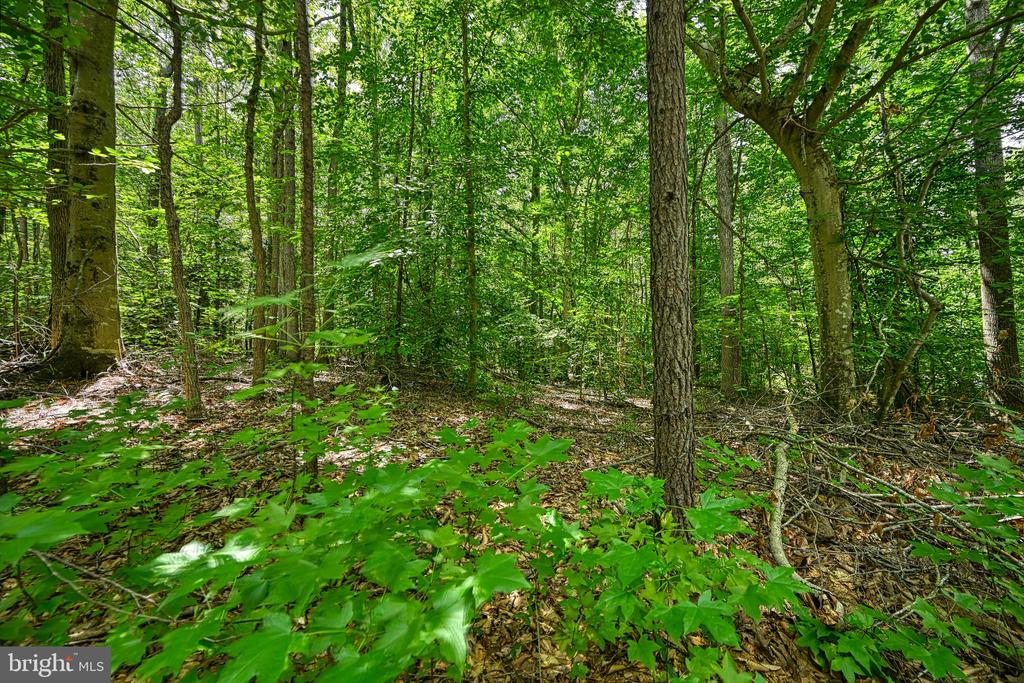 Lot 7 HICKORY LANE