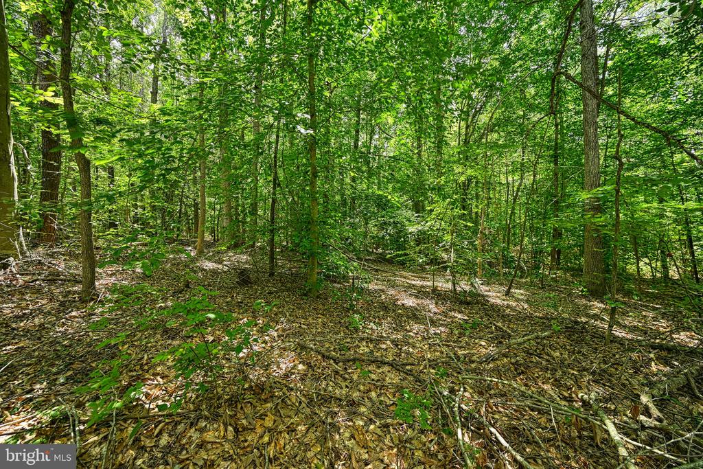 Lot 7 HICKORY LANE
