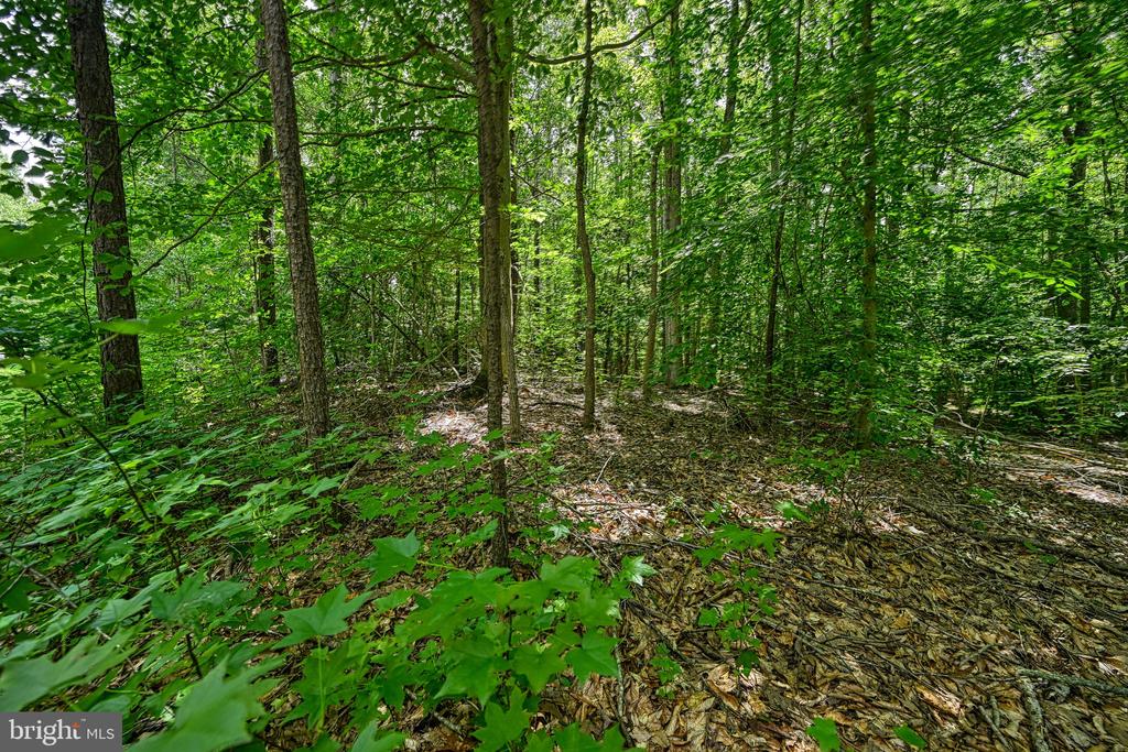 Lot 7 HICKORY LANE