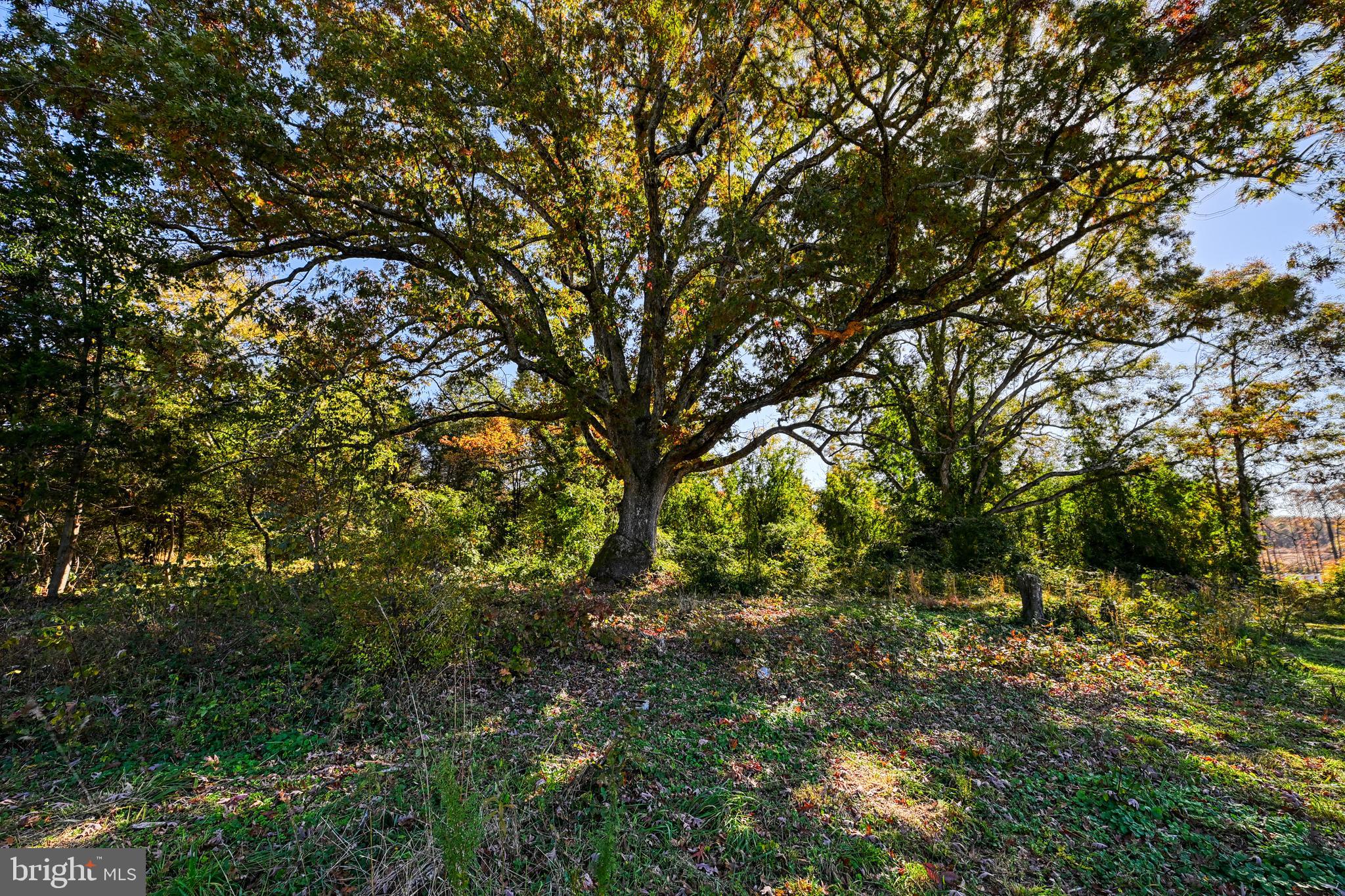 Lot 104 ANNA COVES BOULEVARD