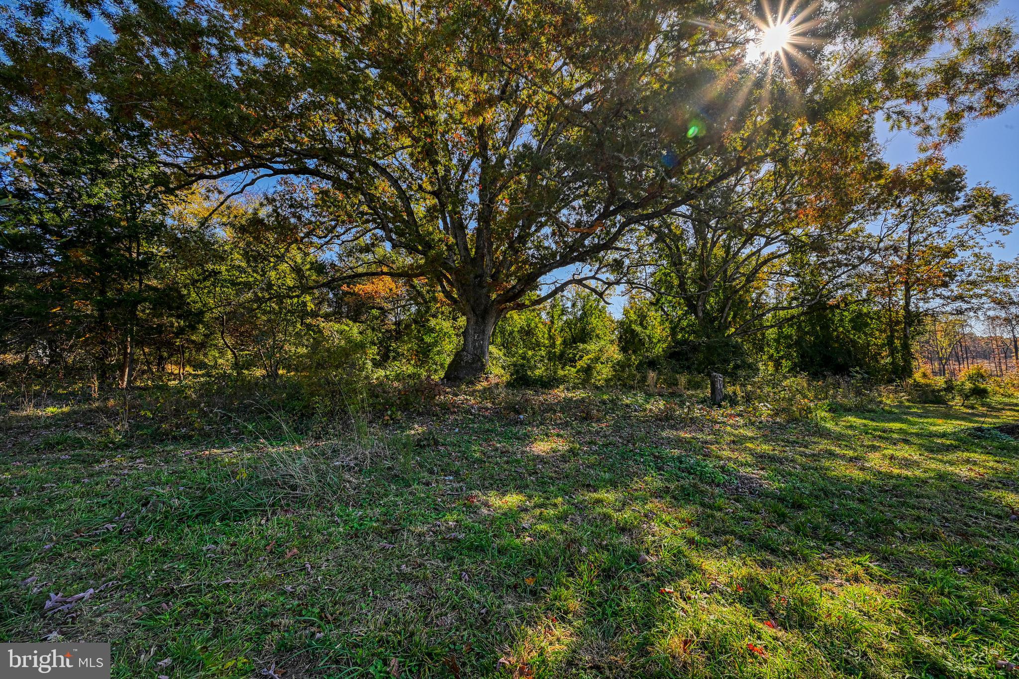 Lot 104 ANNA COVES BOULEVARD