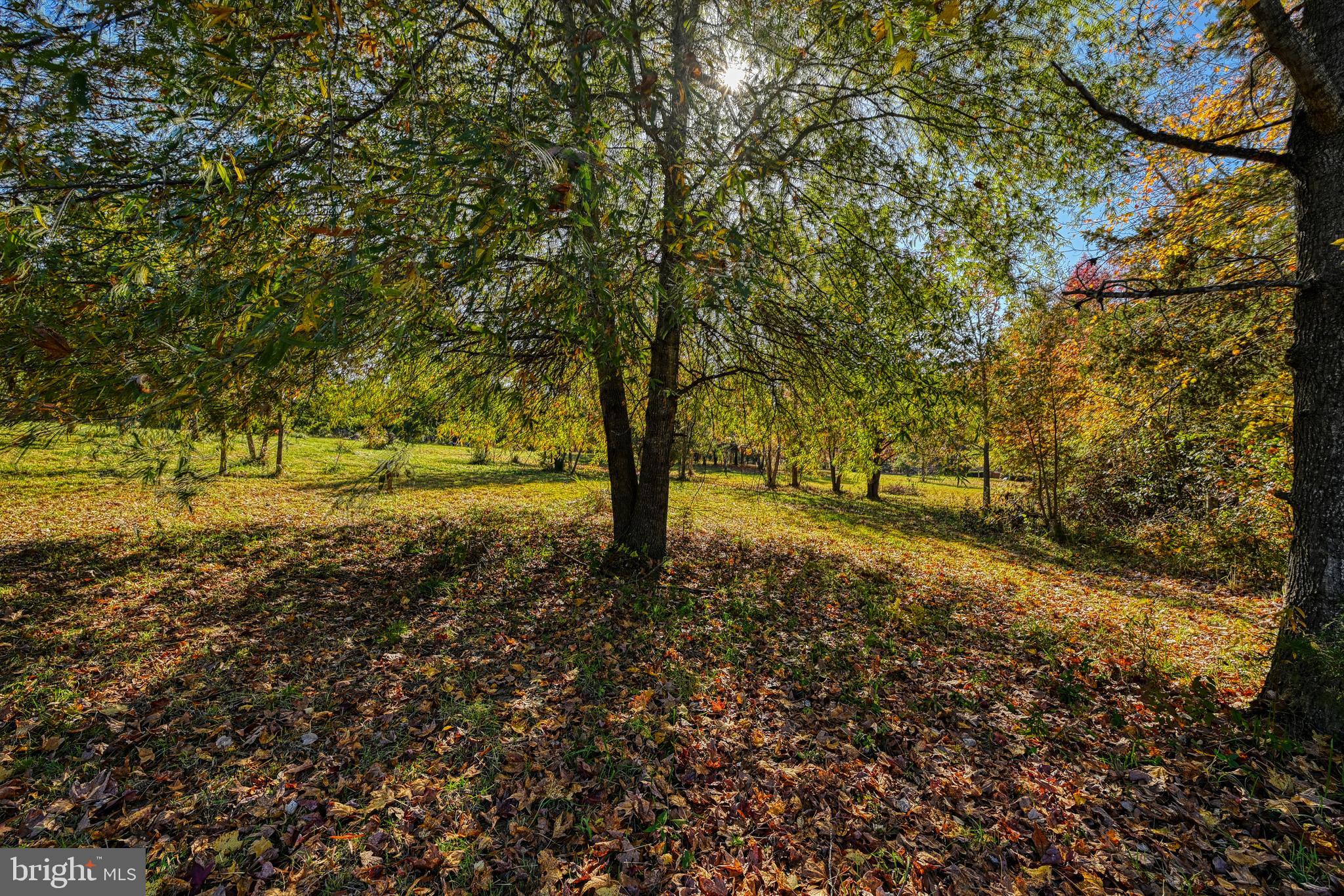 Lot 104 ANNA COVES BOULEVARD