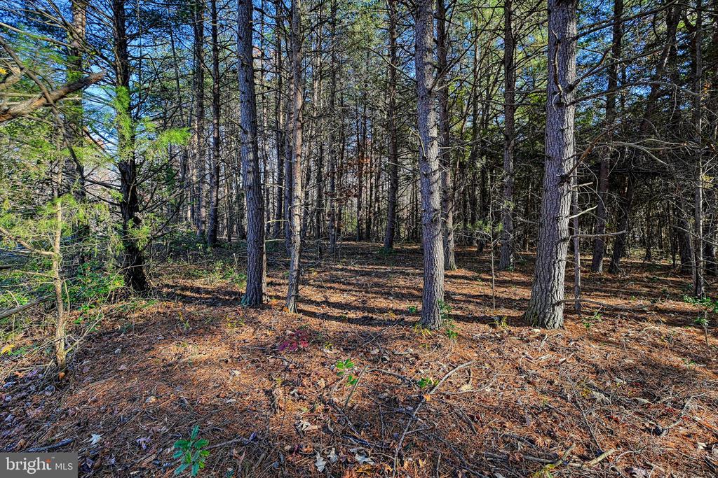 Lot 41 DEERFIELD PLACE