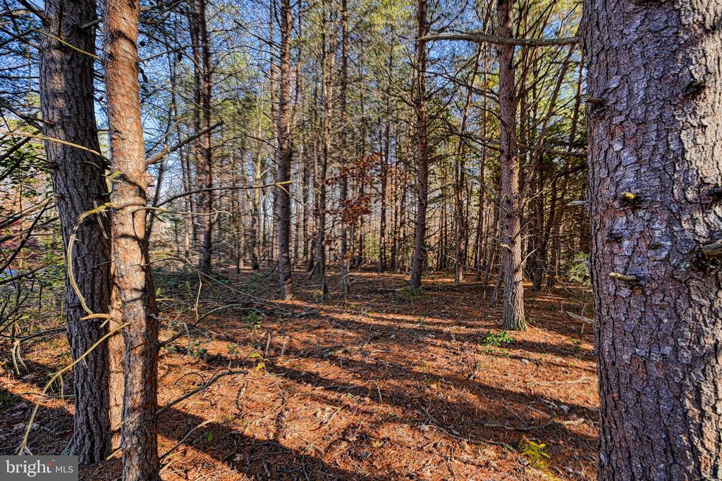 Lot 41 DEERFIELD PLACE