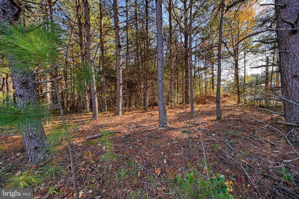 Lot 41 DEERFIELD PLACE